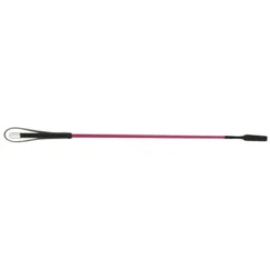 Whip & Go Rijzweep Met Lederen Handvat Roze 68cm