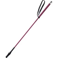 Whip & Go Zweep Points Bordeaux 65cm