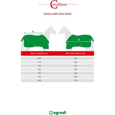 RugBe By Covalliero Veiligheidsdeken Reflecterend 10 RugBe By Covalliero Veiligheidsdeken Reflecterend - Afbeelding 8