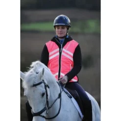 Weatherbeeta Veiligheidsvestje Reflective HiVis Roze 7 Weatherbeeta Veiligheidsvestje Reflective HiVis Roze -Aanbiedingen Ruiter Set Winkel wb 1005269002 wb lw wstcoat hiviz lifestyle.c202a8