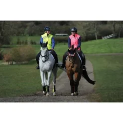 Weatherbeeta Bodywarmer Reflective HiVis Gewatteerd Voor Kinderen Roze -Aanbiedingen Ruiter Set Winkel wb 1005273007 1005273002 1004916006 wb reflect lifestyle.148672 1