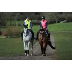 Weatherbeeta Bodywarmer Reflective HiVis Gewatteerd Voor Kinderen Geel -Aanbiedingen Ruiter Set Winkel wb 1005273007 1005273002 1004916006 wb reflect lifestyle.148672 2