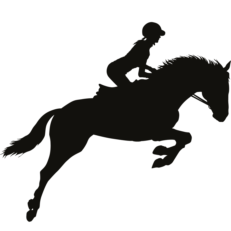 Aanbiedingen Ruiter Set Winkel